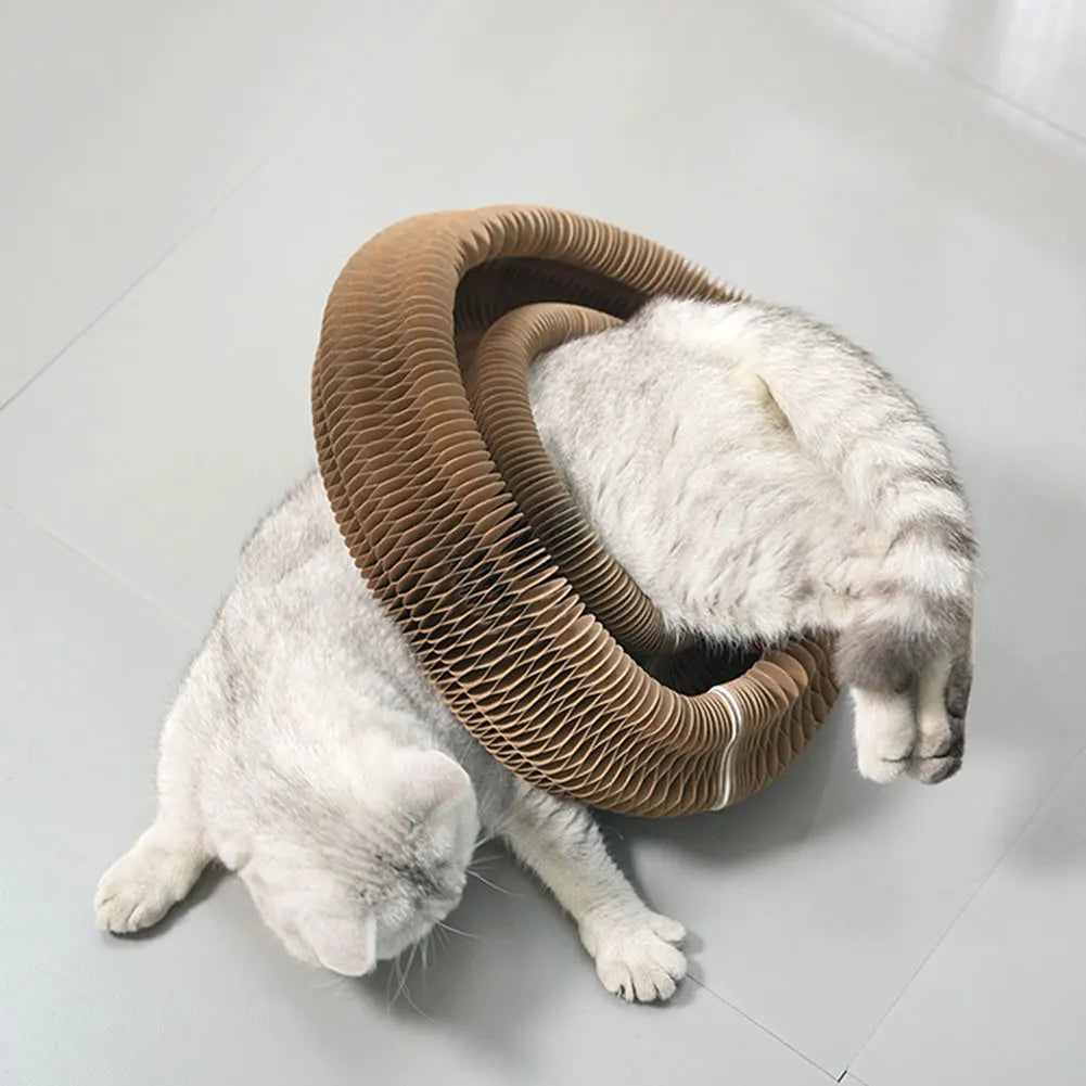 Sfccafc6d02f94f86a8b01fc7ab7ab33dO